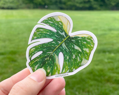 Variegated Monstera Waterproof Sticker