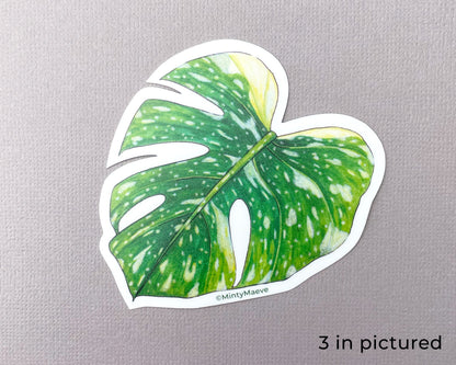 Variegated Monstera Waterproof Sticker