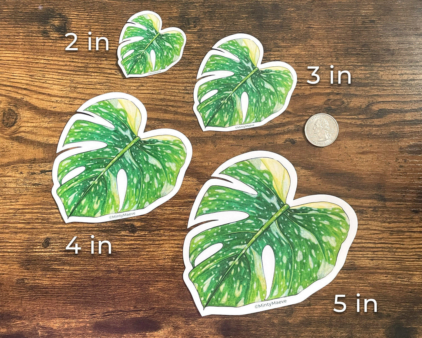 Variegated Monstera Waterproof Sticker