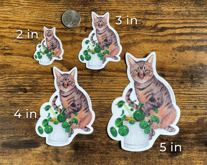 Brown Tabby Cat with Pilea Plant Waterproof Sticker