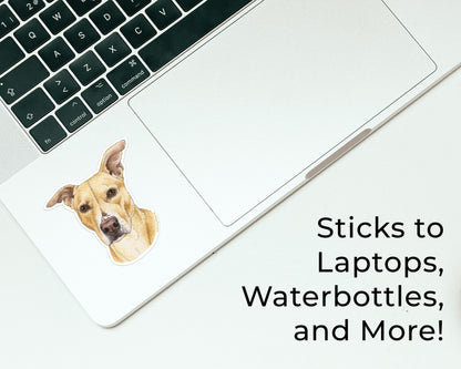 Pit Lab Mix Waterproof Sticker