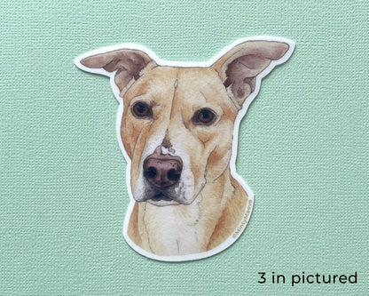 Pit Lab Mix Waterproof Sticker