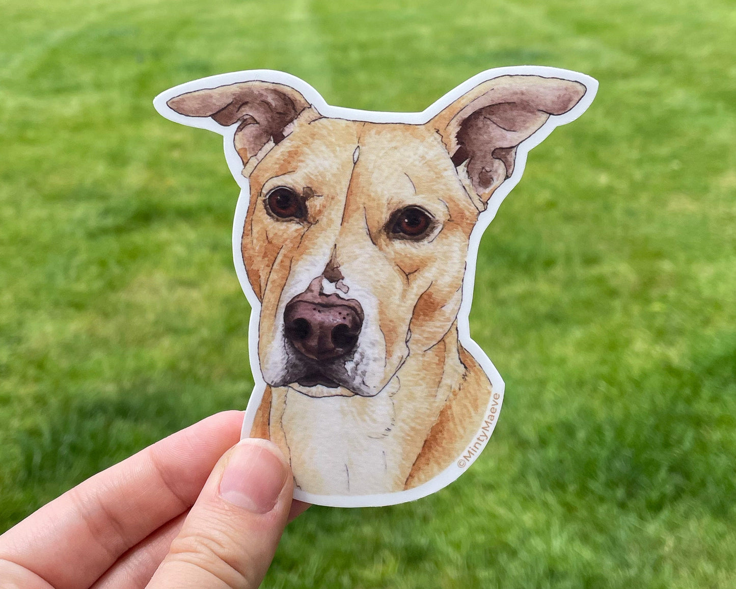 Pit Lab Mix Waterproof Sticker