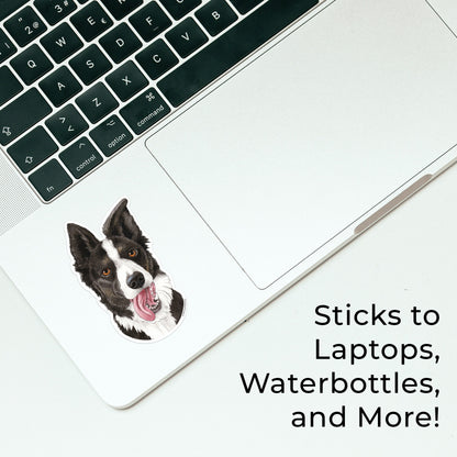 Border Collie Waterproof Sticker