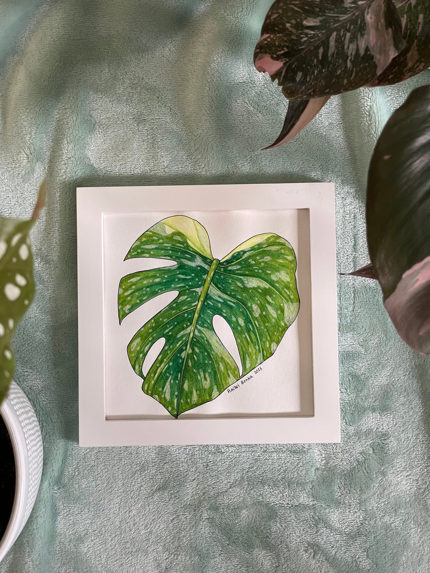 Variegated Monstera Original Watercolor Painting