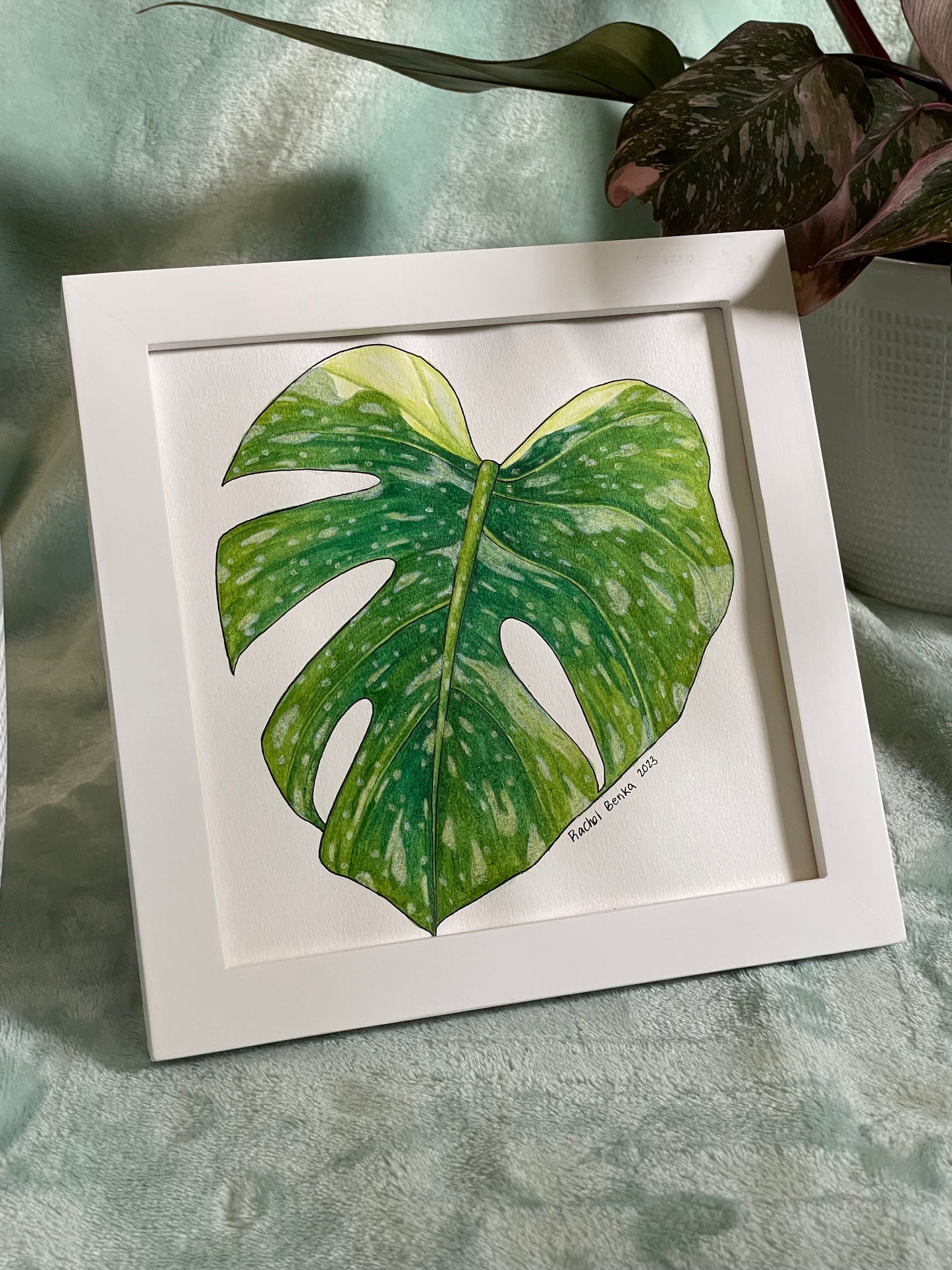 Variegated Monstera Original Watercolor Painting